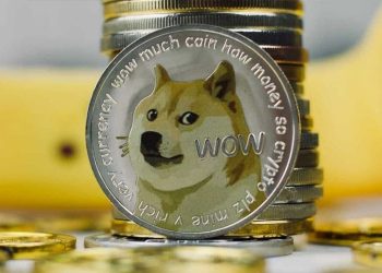 Dogecoin is the Best Investment in 2021. Here’s Why?