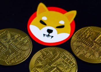 The Next Shiba Inu? Facebook Meta Sends The Price Of This Minor Bitcoin Rival Soaring 300% To $6 Billion