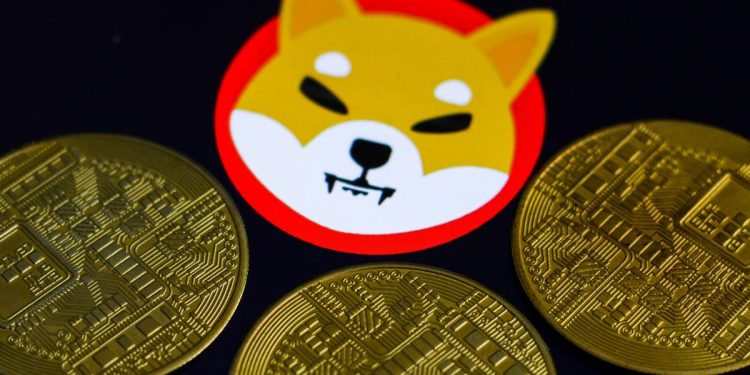 The Next Shiba Inu? Facebook Meta Sends The Price Of This Minor Bitcoin Rival Soaring 300% To $6 Billion