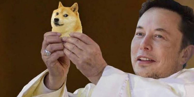 While Musk Mentions Doge Improvements, Dogecoin Developers Continue to Address Scaling Concerns – Altcoins Bitcoin News
