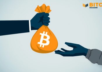 Twitter Adopt Bitcoin Dividend Users