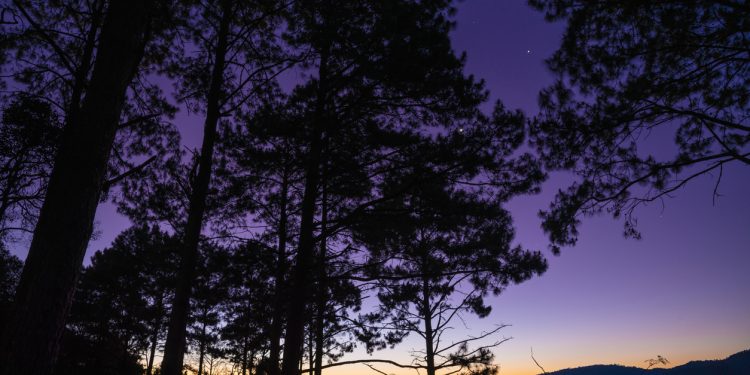 Litecoin 10-Year Anniversary Arrives Alongside Altcoin’s Darkest Hour