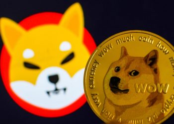 As Elon Musk Signals Dogecoin Support, Shiba Inu Coin Has Suddenly Crashed 50%—Here’s Why