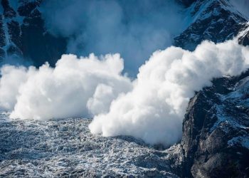 Avalanche Defies Market Crash To Replace Dogecoin As Top 10 Cryptocurrency