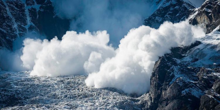 Avalanche Defies Market Crash To Replace Dogecoin As Top 10 Cryptocurrency