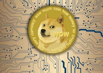 Dogecoin Adoption Is Likely Exaggerated
