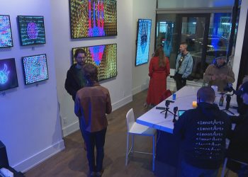 Chicago’s First Physical NFT Gallery Drops Digital Art | Chicago News