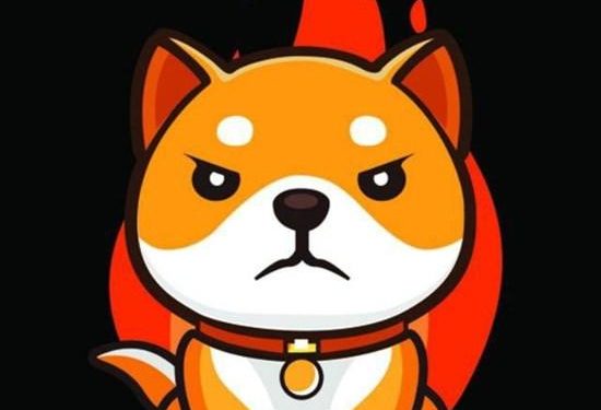 BurnDoge Creating a Hyper-Deflationary Ecosystem with a Reward Mechanism