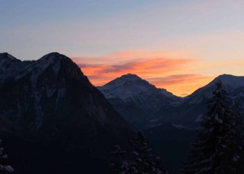 LCX to Advance Parachain Technology With Technical Guidance From Parity Technologies