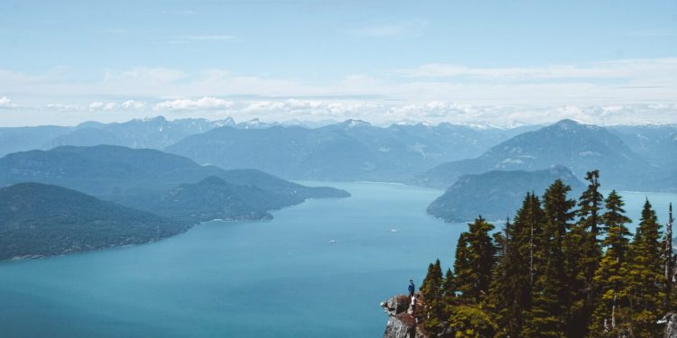 HIVE Blockchain Technologies Announces Strategic Investment in NFT Business