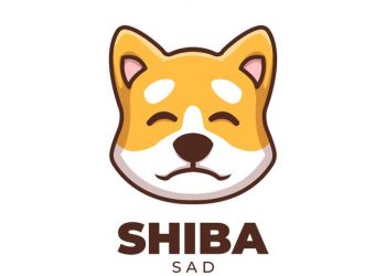 As Dogecoin Heads For the Moon, the Token’s Price Sinks