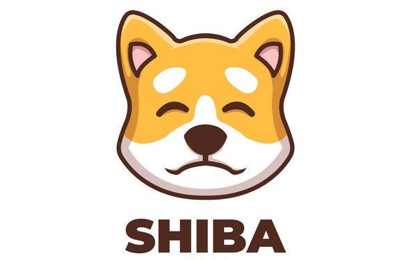 As Dogecoin Heads For the Moon, the Token’s Price Sinks