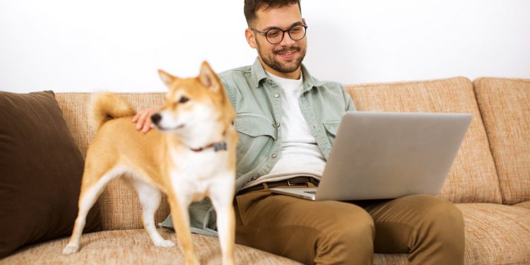 Look Out, Dogecoin and Shiba Inu: This Might Be the Next Breakout Cryptocurrency