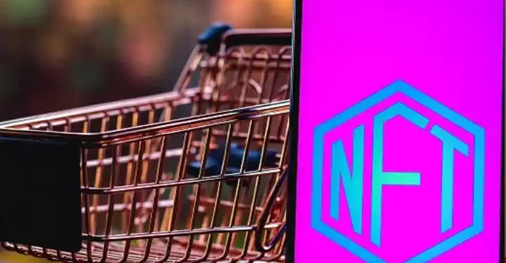 What Are Non-Fungible Tokens? Artwork To Ovarian Eggs, What All Can Be Sold As NFT 