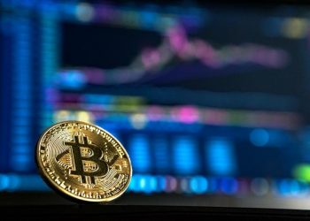 Hernando Fernandez on Finding Guidance for Cryptocurrency Investments