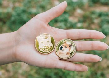 With the market down, what is the interest to buy: Shiba Inu or Dogecoin?