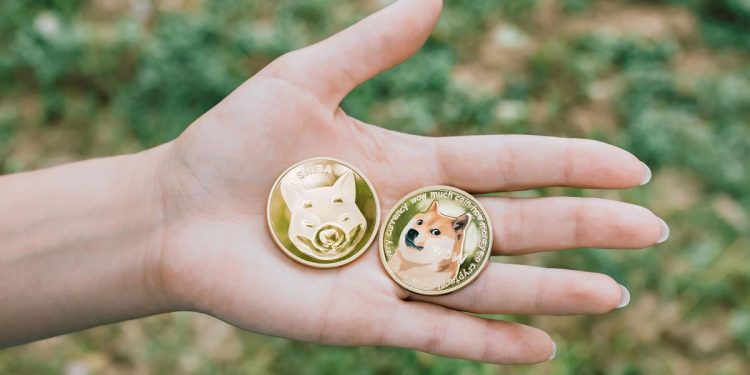With the market down, what is the interest to buy: Shiba Inu or Dogecoin?