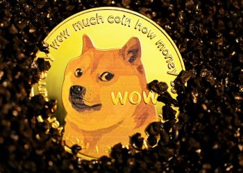 Shiba Inu, Dogecoin Killers: 3 Crypto Coins That Are Doing Better Than Meme Coins