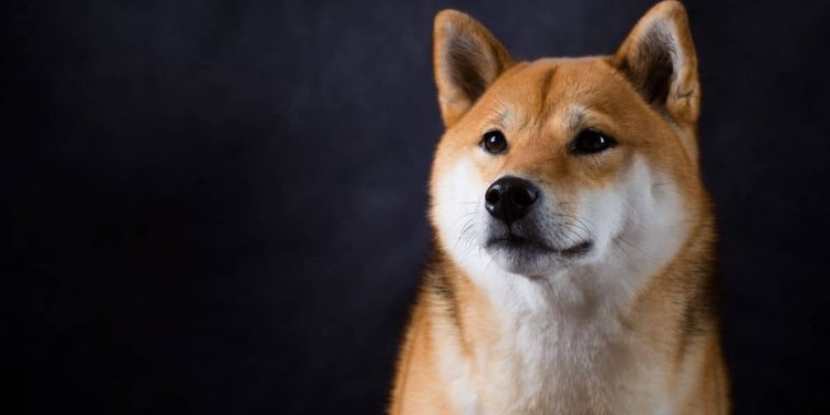 The Founder of Dogecoin Reveals His DOGE Holdings