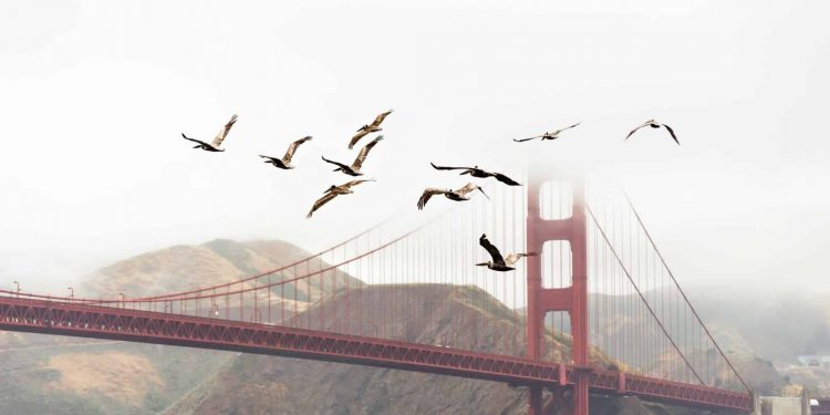 INX Limited Acquires Tokensoft’s Transfer Agent