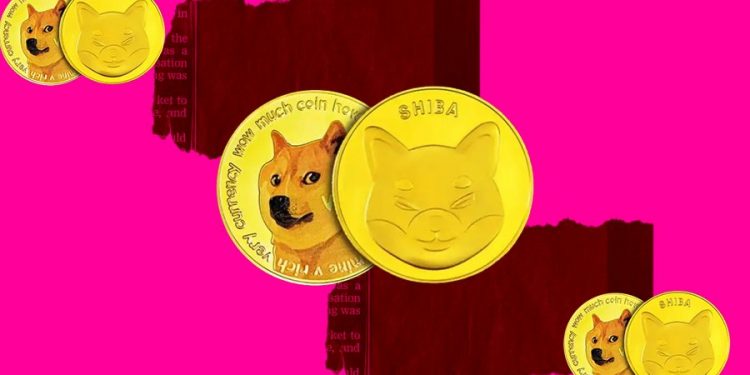 Dogecoin And Shiba Inu Will Face the Worst Test in the Coming Days