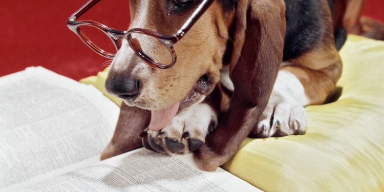 How to Speak NFT: Your Go-To Guide for Deciphering Crypto Slang, From Allowlists to WAGMI