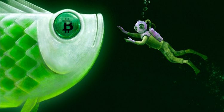 Bitcoin (BTC) Approaching ‘Peak Opportunity’ Zone, According to Top Crypto Trader