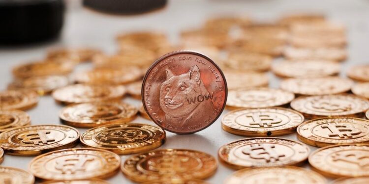 Dogecoin and SHIB rival pumping up