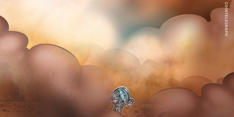 What remains in the NFT market now that the dust has settled?