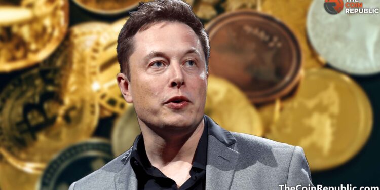 Elon Musk’s Market Outlook for Altcoin