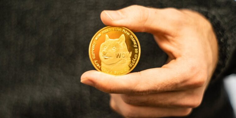 What Is the Best Dogecoin Wallet? 7 Crypto Storage Options to Try
