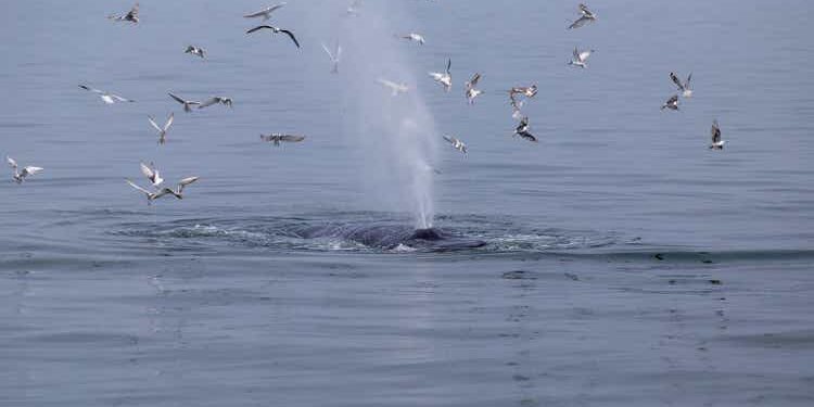 Bitcoin And Ethereum Coming In From The Cold (Technical Analysis)