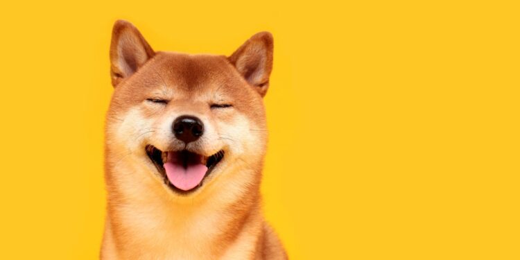 What To Watch On The Shiba Inu Chart As The Dogecoin Killer Rests – SHIBA INU (SHIB/USD)