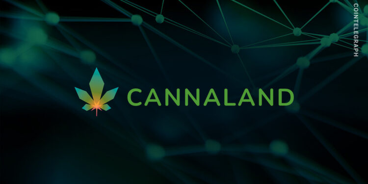 Cannabis-themed metaverse creates ecosystem for cannabis enthusiasts