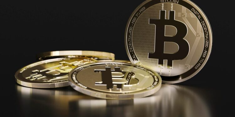 How To Identify A Good Cryptocurrency Project To Hold For The Long Term