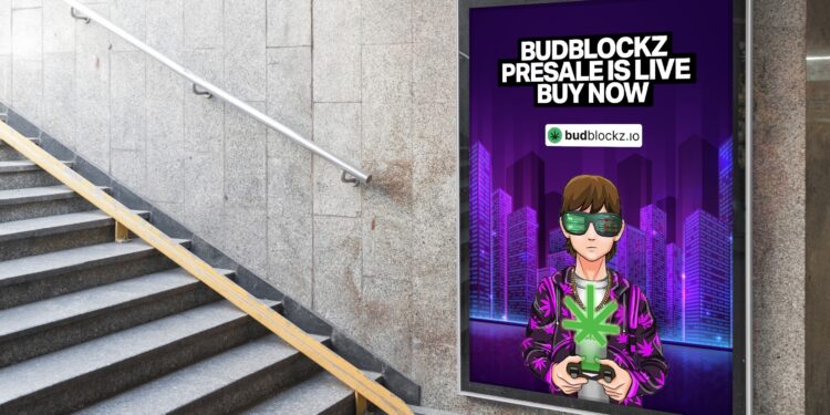 Check Out These Hot NFT Collections: Azuki, Doodles, and BudBlockz