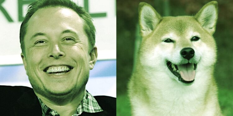 This Week in Coins: Dogecoin Outpaces Bitcoin and Ethereum Amid Musk’s Twitter Takeover