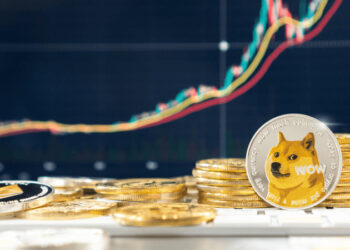 Is Dogecoin a Good Investment in 2022?
