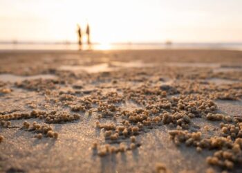 Ethereum [ETH] rises above $1,210 but is a year-end rally on the cards