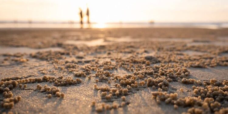 Ethereum [ETH] rises above $1,210 but is a year-end rally on the cards