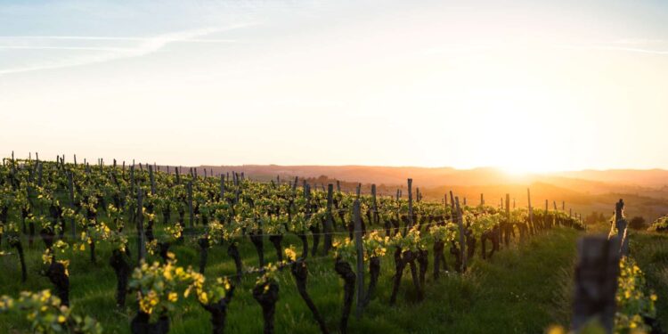 ASSETERA partners with TALIUM to tokenize and trade royalties