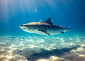 Chainlink (LINK) Price Prediction 2025-2030: LINK’s journey to $500 is probable?