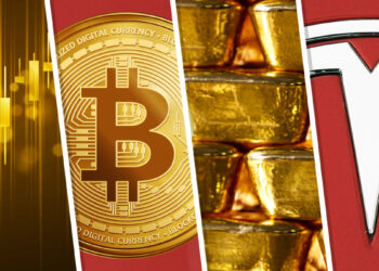 Doug Kass: Stocks And Gold Can Rally Soon, But Tesla And Bitcoin May Fall Further In 2023