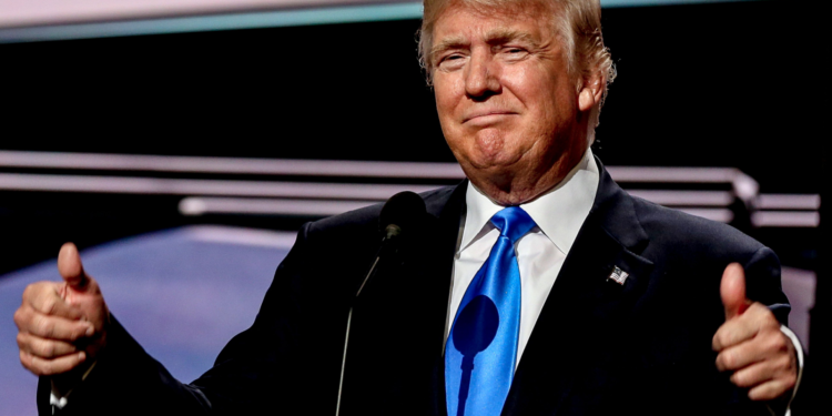 No Chump Change: Trump Made $3.9 Million From His NFT Collection