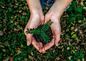 Lido’s Total Value Locked Spiked 33% In Past Month, Becoming Largest DeFi Protocol by TVL, Says DeFiLlama