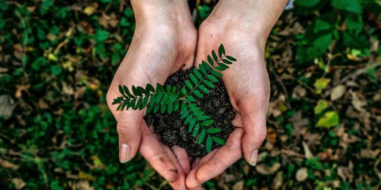 Lido’s Total Value Locked Spiked 33% In Past Month, Becoming Largest DeFi Protocol by TVL, Says DeFiLlama