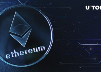 Which Ethereum L2 Is Dominant?
