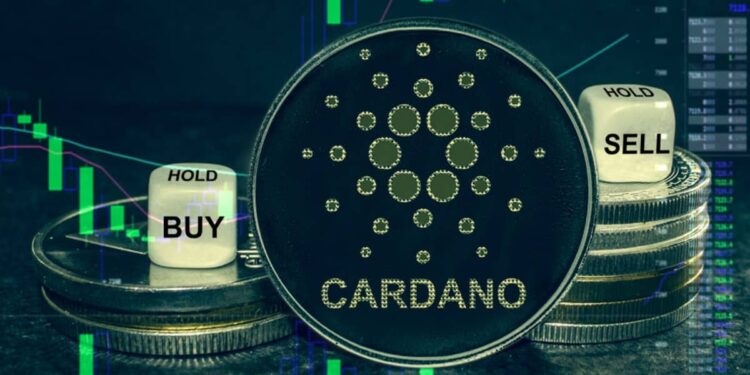 Why Cardano (ADA) Could Be Rewarding Altcoin To Hold In 2023?