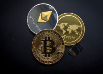 Blockchain Advocate Believes SHIB Will Climb The Crypto Ranks By CoinEdition