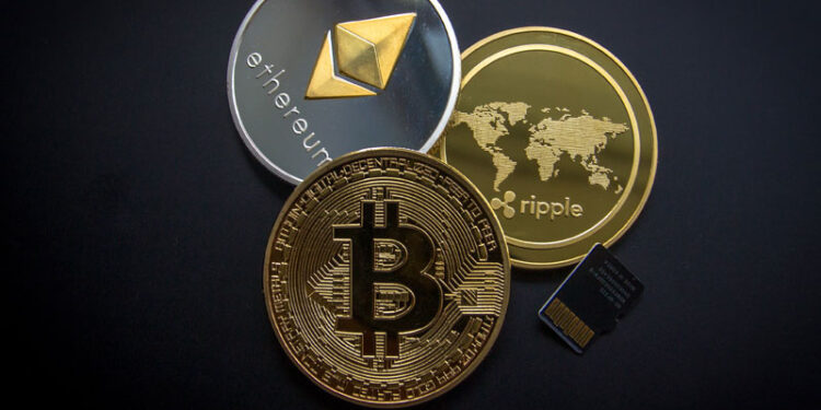 Blockchain Advocate Believes SHIB Will Climb The Crypto Ranks By CoinEdition